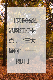 实探杨泗港网红打卡点：“三大疑问”一一揭开