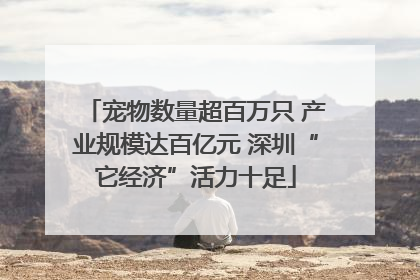 宠物数量超百万只 产业规模达百亿元 深圳“它经济”活力十足