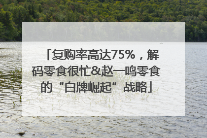 复购率高达75%，解码零食很忙&赵一鸣零食的“白牌崛起”战略