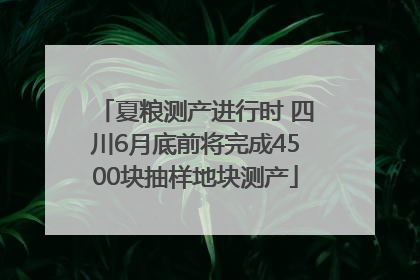 夏粮测产进行时 四川6月底前将完成4500块抽样地块测产