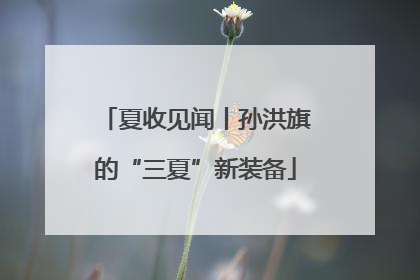 夏收见闻丨孙洪旗的“三夏”新装备