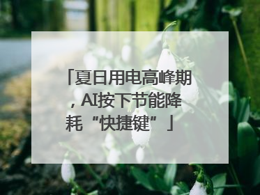 夏日用电高峰期，AI按下节能降耗“快捷键”