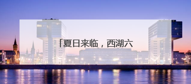 夏日来临，西湖六月黄上市了吗？
