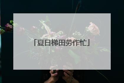 夏日梯田劳作忙