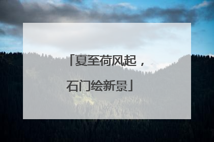 夏至荷风起，石门绘新景