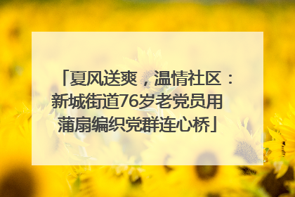 夏风送爽，温情社区：新城街道76岁老党员用蒲扇编织党群连心桥