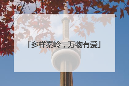 多样秦岭，万物有爱