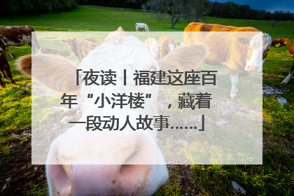 夜读丨福建这座百年“小洋楼”，藏着一段动人故事……