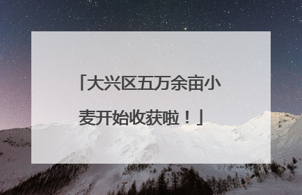 大兴区五万余亩小麦开始收获啦！