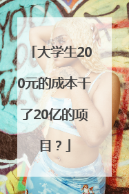 大学生200元的成本干了20亿的项目？