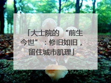 大士院的 “前生今世”：修旧如旧，留住城市肌理
