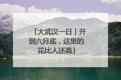 大武汉一日︱开到六月底，这里的花比人还高