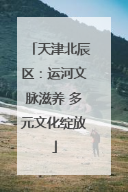 天津北辰区：运河文脉滋养 多元文化绽放