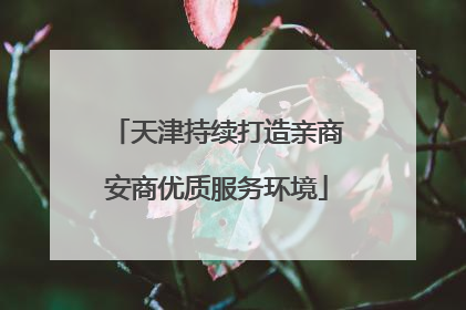 天津持续打造亲商安商优质服务环境