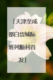 天津至成都白货城际班列顺利首发
