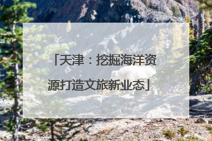 天津：挖掘海洋资源打造文旅新业态