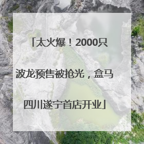 太火爆！2000只波龙预售被抢光，盒马四川遂宁首店开业