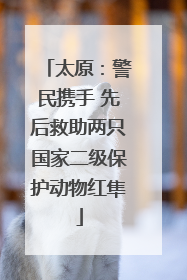太原：警民携手 先后救助两只国家二级保护动物红隼