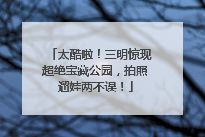 太酷啦！三明惊现超绝宝藏公园，拍照遛娃两不误！