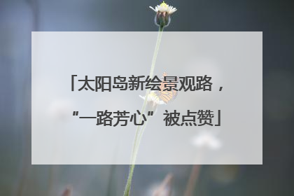 太阳岛新绘景观路，“一路芳心”被点赞