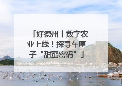 好德州丨数字农业上线！探寻车厘子“甜蜜密码”