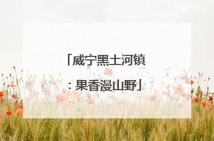 威宁黑土河镇：果香漫山野