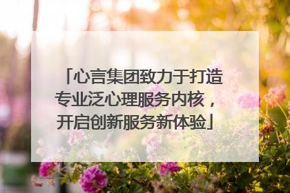 心言集团致力于打造专业泛心理服务内核，开启创新服务新体验