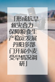 形成抗旱救灾合力 保障粮食生产稳定发展 丹阳多部门开展小麦受旱情况调研