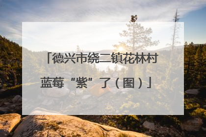 德兴市绕二镇花林村蓝莓“紫”了（图）