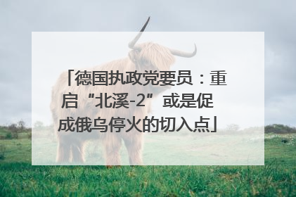 德国执政党要员：重启“北溪-2”或是促成俄乌停火的切入点