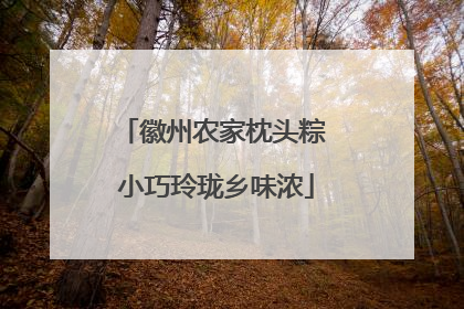 徽州农家枕头粽 小巧玲珑乡味浓