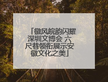 徽风皖韵闪耀深圳文博会 六尺巷领衔展示安徽文化之美