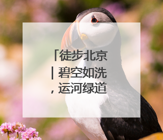徒步北京｜碧空如洗，运河绿道行者如织
