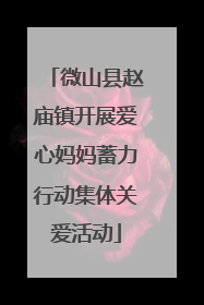 微山县赵庙镇开展爱心妈妈蓄力行动集体关爱活动
