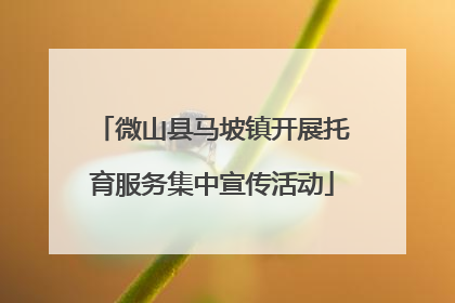 微山县马坡镇开展托育服务集中宣传活动