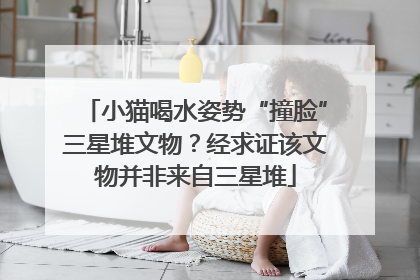 小猫喝水姿势“撞脸”三星堆文物？经求证该文物并非来自三星堆