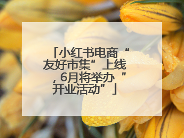 小红书电商“友好市集”上线，6月将举办“开业活动”