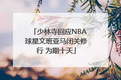 少林寺回应NBA球星文班亚马闭关修行 为期十天