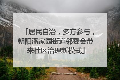 居民自治，多方参与，朝阳潘家园街道邻委会带来社区治理新模式