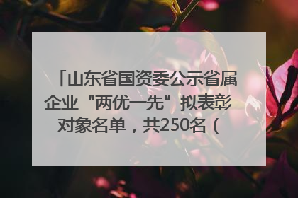 山东省国资委公示省属企业“两优一先”拟表彰对象名单，共250名（个）党员和党组织