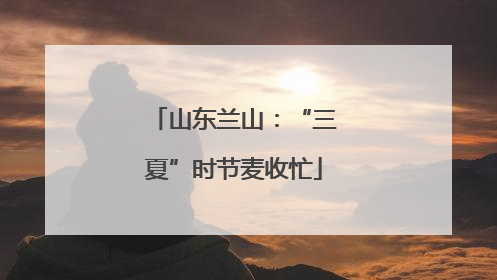 山东兰山：“三夏”时节麦收忙