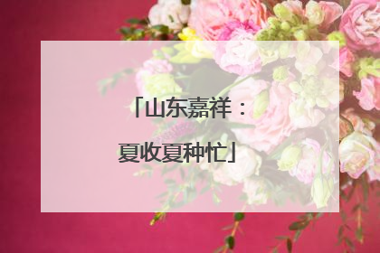 山东嘉祥：夏收夏种忙