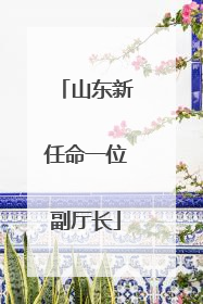 山东新任命一位副厅长