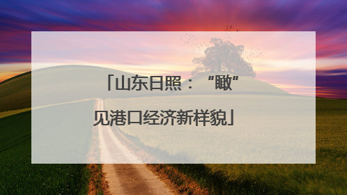山东日照：“瞰”见港口经济新样貌