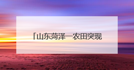 山东菏泽一农田突现大坑被传有古墓？属地回应：系老井，无古墓迹象，已回填