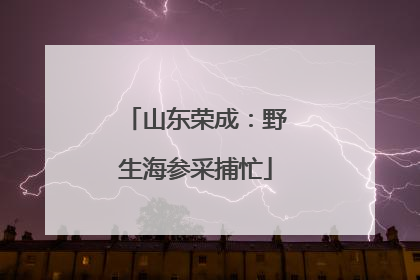 山东荣成：野生海参采捕忙