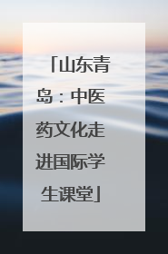 山东青岛：中医药文化走进国际学生课堂