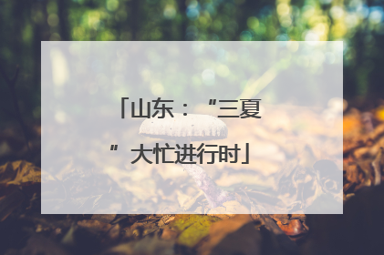 山东：“三夏”大忙进行时