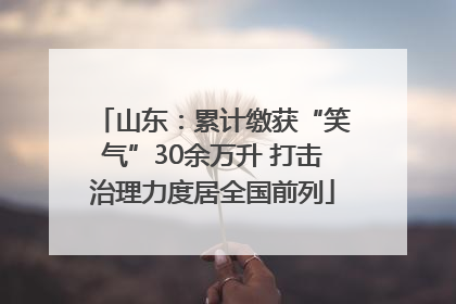 山东：累计缴获“笑气”30余万升 打击治理力度居全国前列