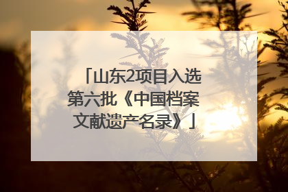 山东2项目入选第六批《中国档案文献遗产名录》